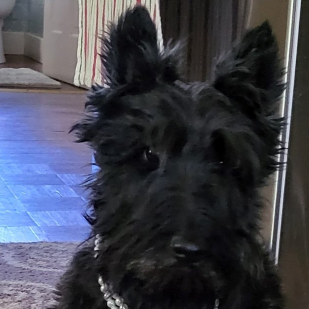 Meet your Posher, Linda